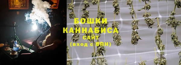 гидра Медвежьегорск