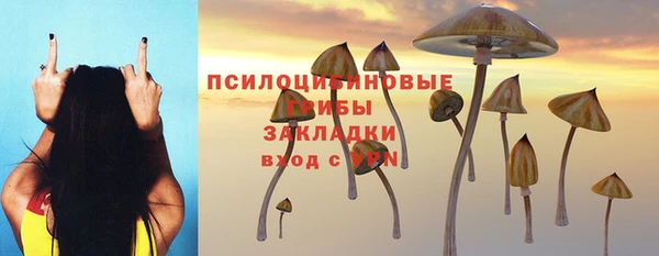 a pvp Магас