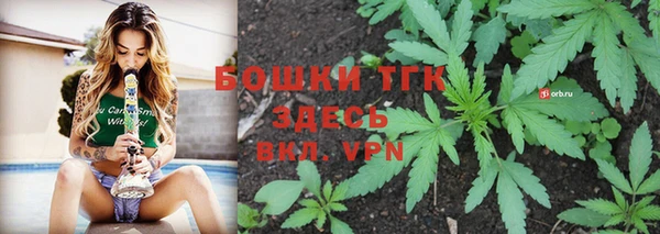 гидра Медвежьегорск