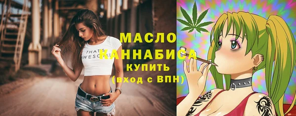 гидра Медвежьегорск