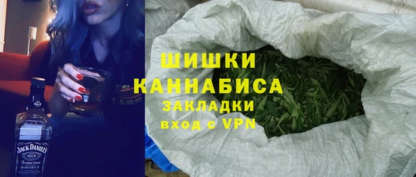 гидра Медвежьегорск