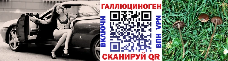 Галлюциногенные грибы GOLDEN TEACHER  где найти наркотики  Шарья 